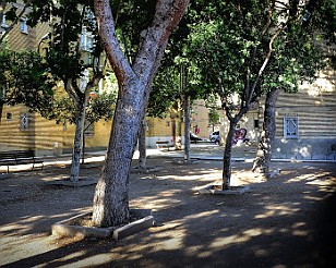 c_X10T1124-copia