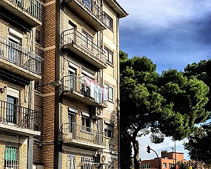 d_IMG0243-copia